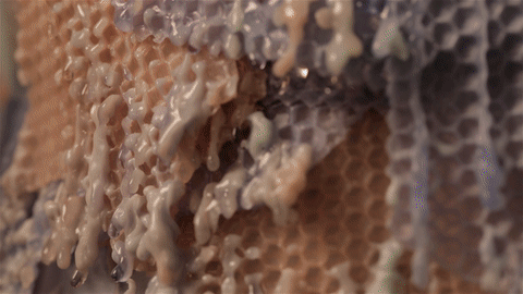 Clip from Chemical Cut